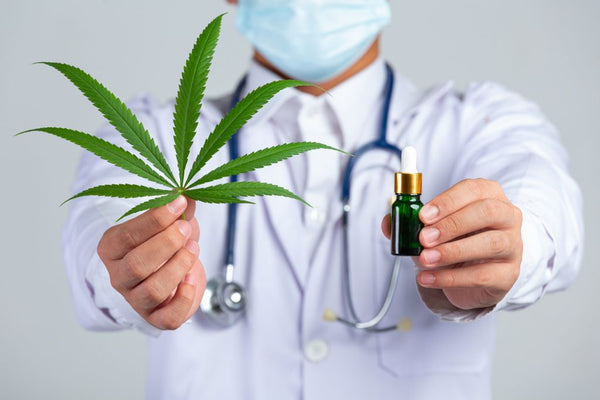 Os principais mitos sobre a cannabis medicinal
